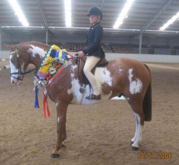 Derringdo Flying Colours